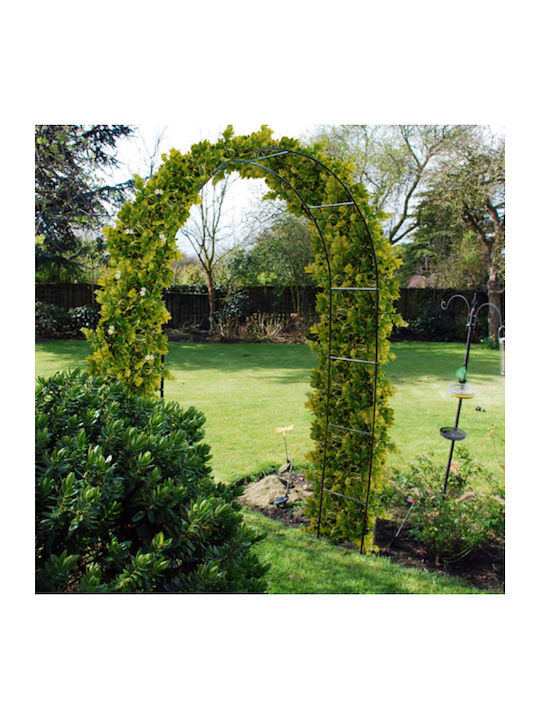 Garden Arch Made of Metal in Green Color 140x38x240cm