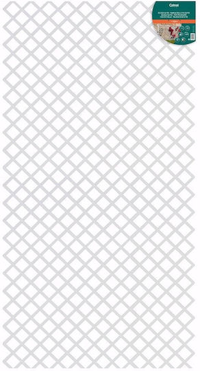Trellis De Grădină Alb 100x200cm