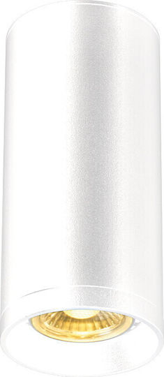 Geyer Single Spot with Socket GU10 in White Color