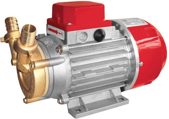 Rover Pompe Marina 30-24V Transferpumpe mit Leistung 1hp 24V