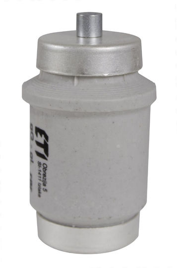 ETI Melting Safety Fuse Diazed