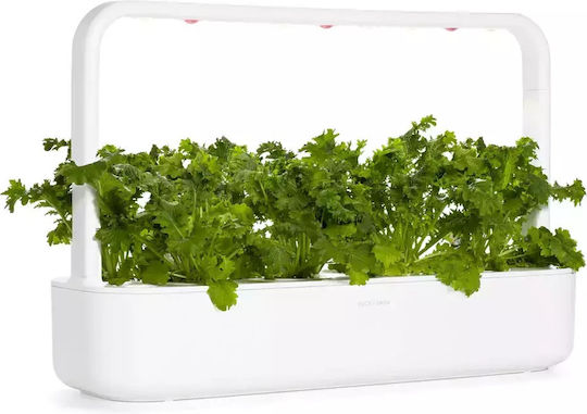 Wasabi Mustard Click & Grow Smart Garden Set 3 Pods