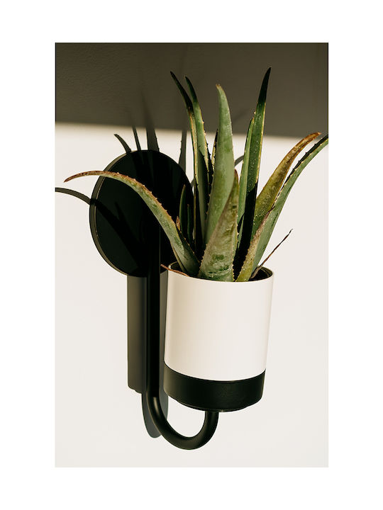 Prosperplast Set 3 Töpfe Kunststoff White