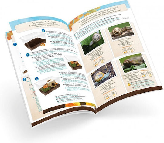 Buki Nature Лаборатория от Дърво за 6+ години Години