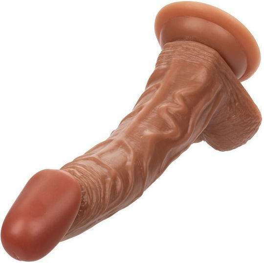 Calexotics Dildo με Όρχεις και Βεντούζα Καφέ 24.25cm