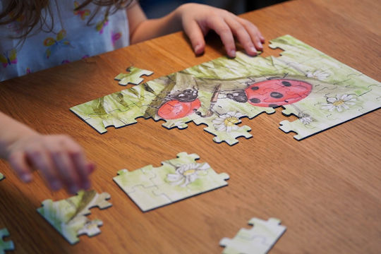 Castorland Puzzle 60 Teile Marienkäfer