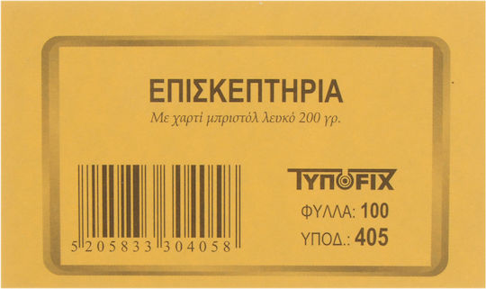 Typofix Business Card Business Cards Box 10x6cm 100 pieces 405