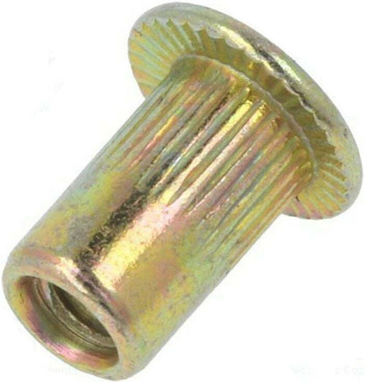 Yato Nieten Eisen M5x5mm Yato 20 Stück