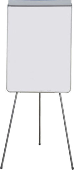 Teloniatis Flip Chart Seminar 65x97 30 Sheets 805.1.00166