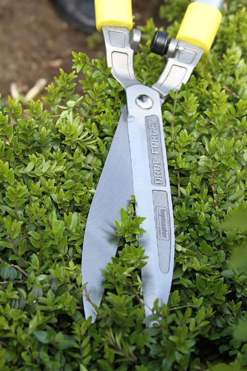 Topmaster Foarfecă pentru gard viu 620mm 389917 Foarfecă pentru gard viu / tuns gazonul Arbust