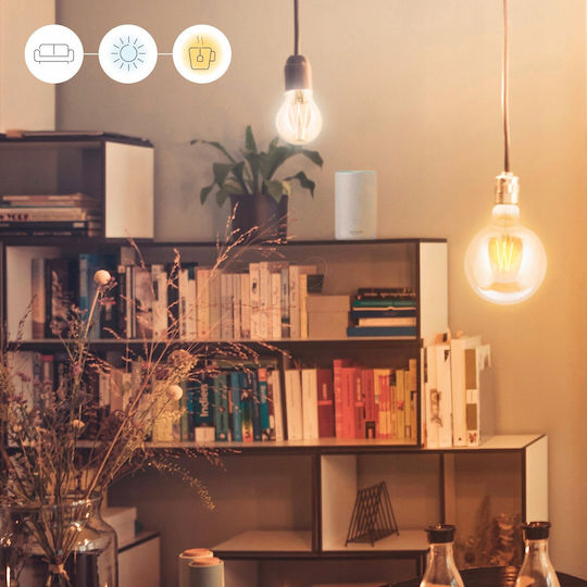 WiZ Smart Λάμπα LED 12W για Ντουί E27 και Σχήμα ST64 Ρυθμιζόμενο Λευκό Dimmable