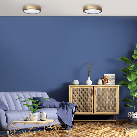 Eko Light Rund Draußen LED Panel 36W mit Warm zu kühlem Weiß Licht