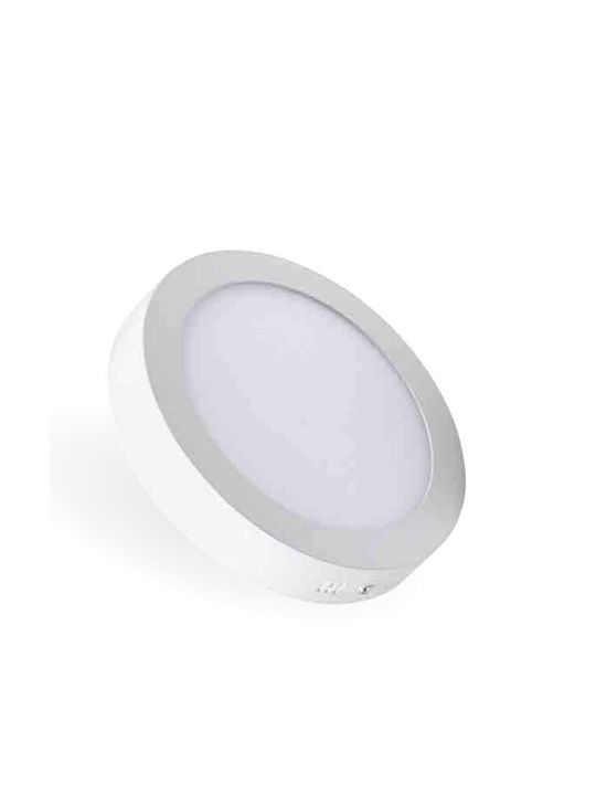 Lucas Rund Draußen LED Panel 24W mit Kaltweiß Licht 6400K