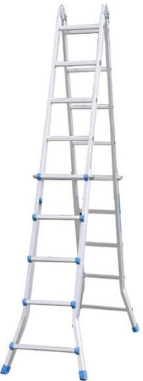 Vesta Dublu Scara combinata Aluminiu 2x10