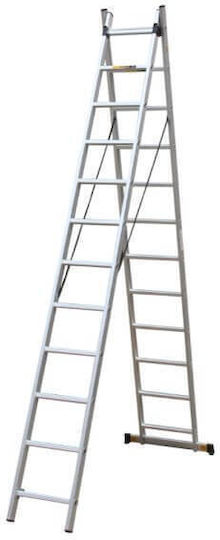 Prostep Doppelter Kombinationsleiter Aluminium