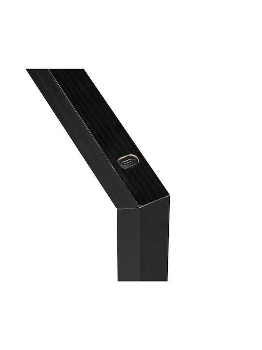 Trio Lighting Dekorative Lampe Schwarz