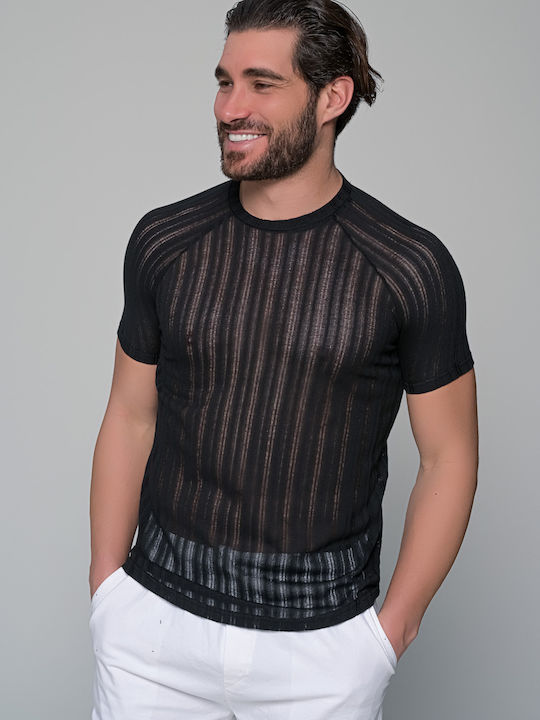 Ben Tailor