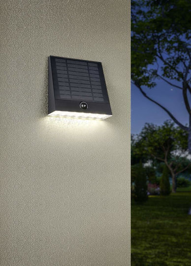 Trio Lighting Стенно Външно Осветително Тяло Черно Trio Lighting Стенно Външно Осветително Тяло Черно
