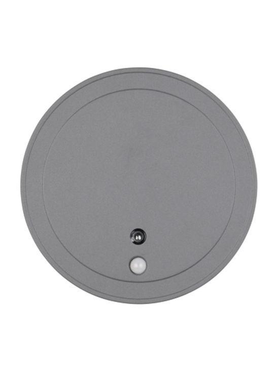 Trio Lighting Lumină de exterior montată pe perete