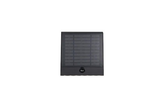 Trio Lighting Επιτοίχιο Εξωτερικό Φωτιστικό