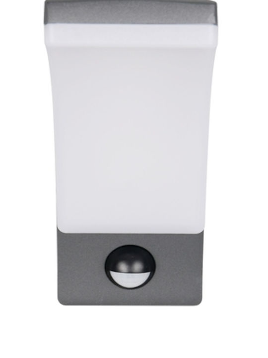 Trio Lighting Επιτοίχιο Εξωτερικό Φωτιστικό
