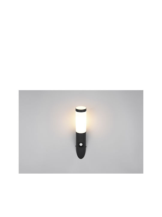 Trio Lighting Επιτοίχιο Εξωτερικό Φωτιστικό