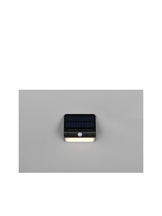 Trio Lighting Επιτοίχιο Εξωτερικό Φωτιστικό