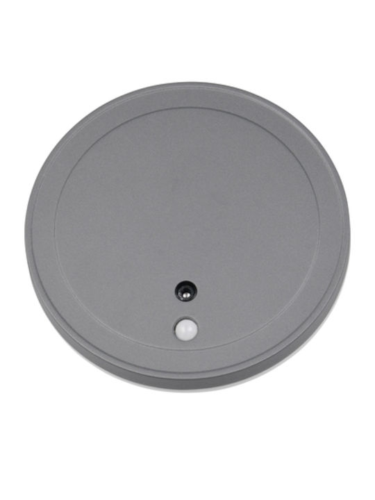 Trio Lighting Lumină de exterior montată pe perete