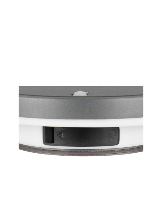 Trio Lighting Lumină de exterior montată pe perete