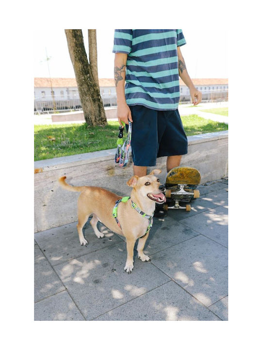 Zeedog Περιλαίμιο Σκύλους Lords Zee.town Manifesto Small Zeedog Περιλαίμιο Σκύλους Lords Zee.town Manifesto Small