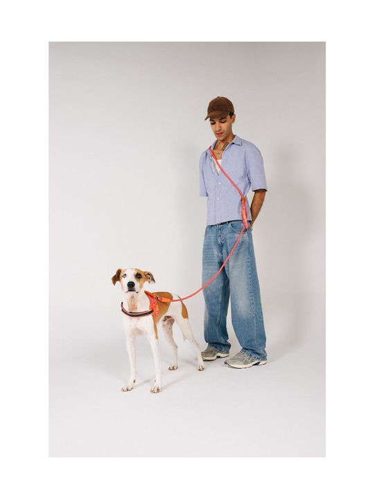 Zeedog Dog Harness Gazelle Fly Harness Size 3 55-77 Cm