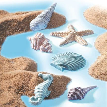 Staedtler Sea Shells Mold Silicone for Clay / Soap / Liquid Glass 8742-08