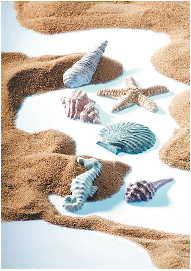 Staedtler Sea Shells Mold Silicone for Clay / Soap / Liquid Glass 8742-08