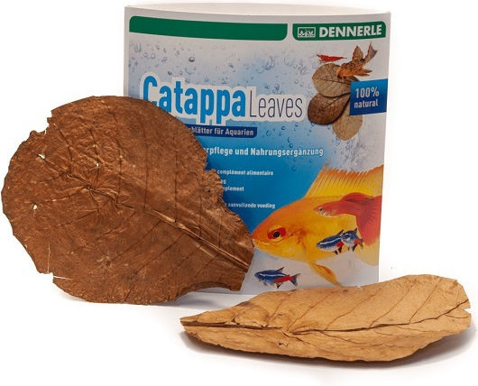 Dennerle Catappa Leaves Aquarium Wasserbehandlung zum Umweltschutz
