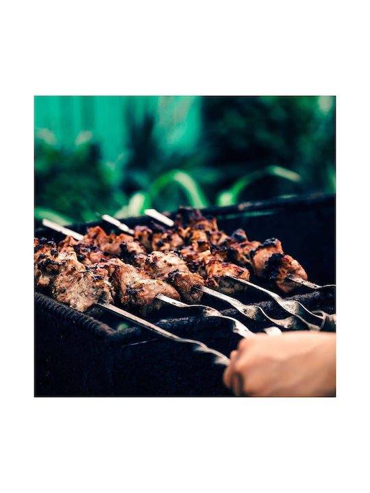 BBQ Collection Set of 3 BBQ Tools