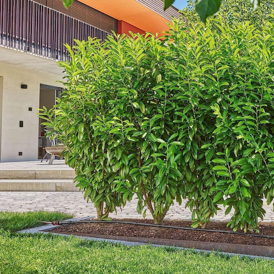 Gardena Gardena Mikro-Training-System Automatische Bewässerungssysteme Tropfen für Töpfe