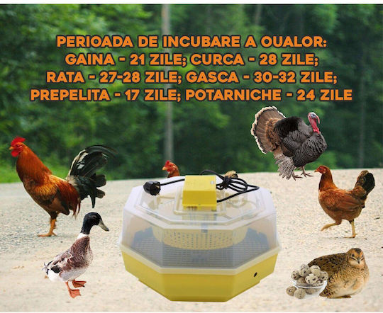 Ertone Incubator Automat Pentru 41 Ouă