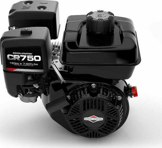 Briggs & Stratton Radial Olivenhain-Erntemaschinenzuführung
