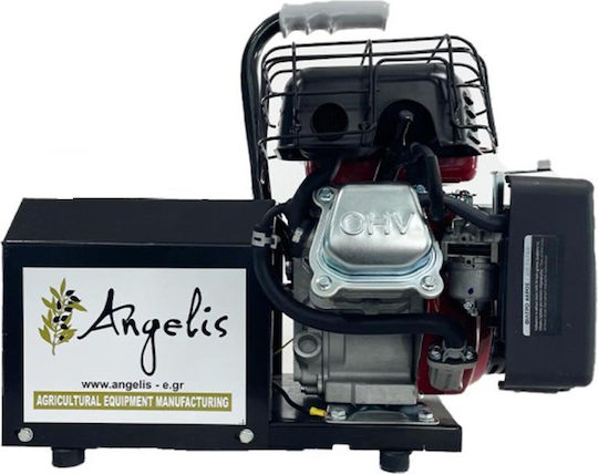 Agelis Olive Harvester Generator with with Stabilizer 13.8V Engine and 70A Dynamo
