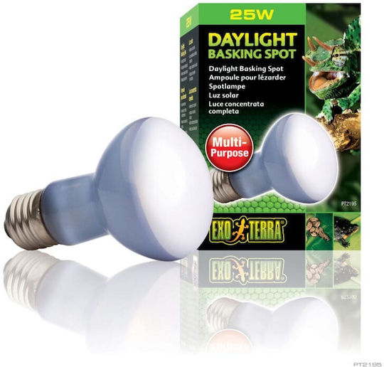 Exo Terra Basking Spot Accessory for Reptiles Terrarium
