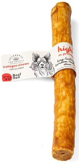 Celebrate Freshness Bone Training for Dogs with Flavor Beef 25cm