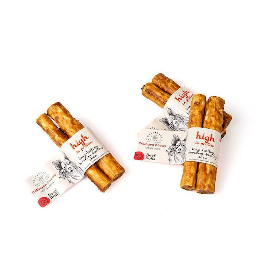 Celebrate Freshness Knochen Schulung für Hunde mit Geschmack Rindfleisch 12.5cm 2Stück