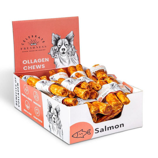 Celebrate Freshness Knochen für Hunde mit Lachsgeschmack 12.5cm 2Stück