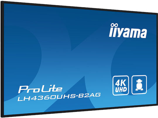Iiyama 43" Commercial Display