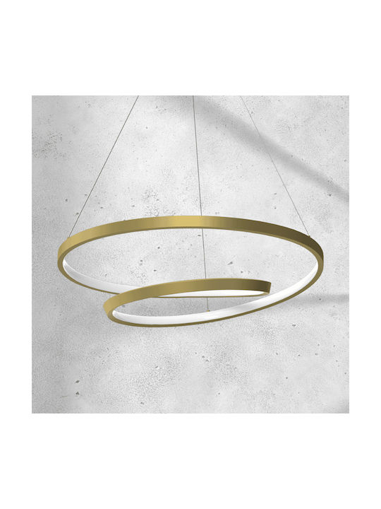 Eko Light Lucerno 48w 230v Gold Pendant Light Gold Rail