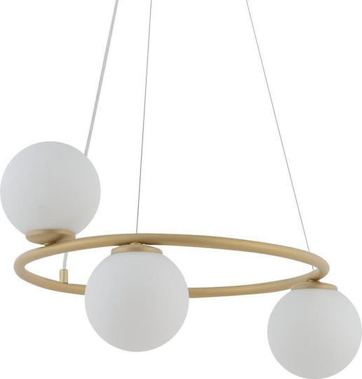 Sigma Hängelampe Gold mit Fassung G9 70cm.