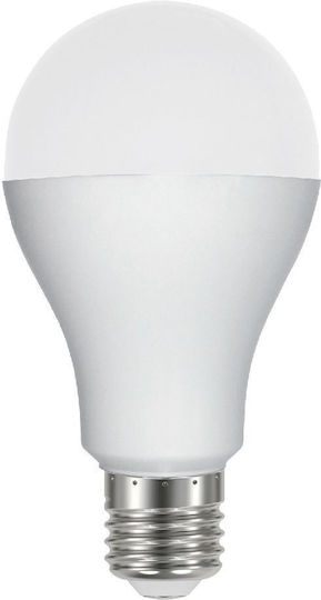 Spectrum LED Bulb 13W 113mm for Socket E27 and Shape A60 Warm White 1200lm