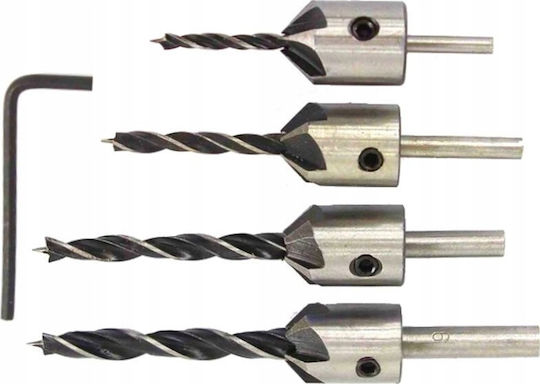 Burghiu pentru lemn argintiu 3-6mm 5 bucăți