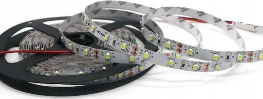 Prescot LED Strip 12V RGBW Light 5m Type SMD5050