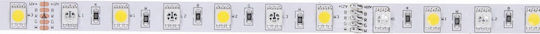 Prescot LED Strip 12V RGBW Light 5m Type SMD5050